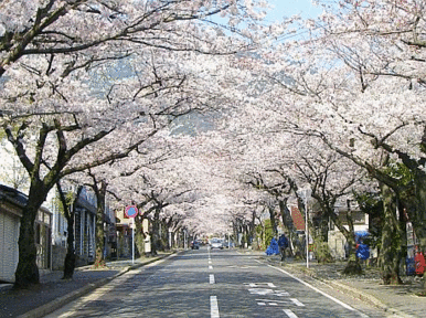 安部山公園