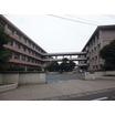 中学校