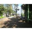 公園