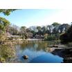 公園