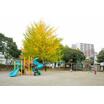 幼稚園、保育園