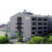大学
