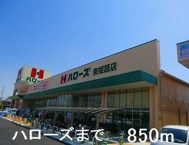 ハローズ