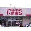 周辺環境