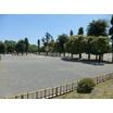 公園