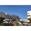 中学校