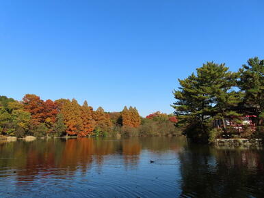 東京都立石神井公園