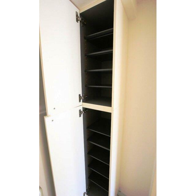 靴入