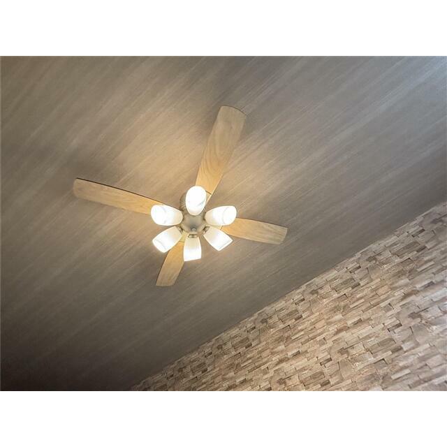 シーリングファン付き