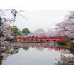 公園