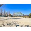 公園
