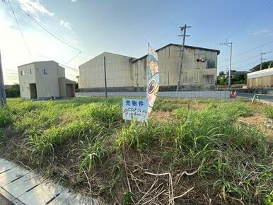 2022年11月20日撮影☆