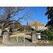 公園