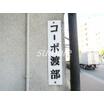 周辺環境