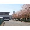 中学校