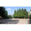 公園