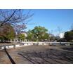 公園