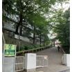 中学校