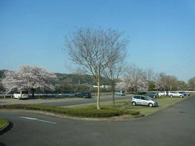 津久井湖城山公園（水の苑地駐車場）