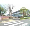 大学