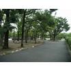 公園