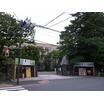 大学