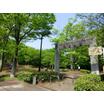 公園