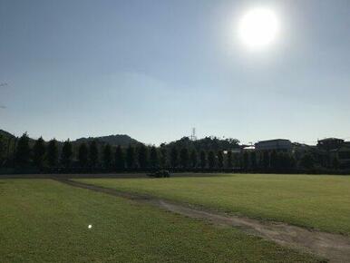衣笠公園