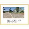 大学