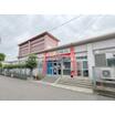 幼稚園、保育園
