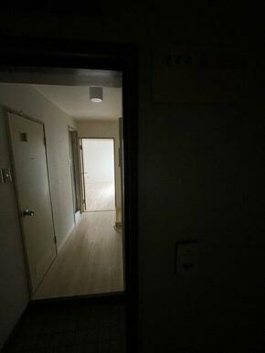 明るい玄関です