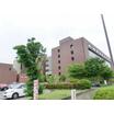 大学