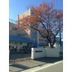 小学校