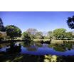 公園
