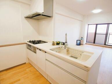 室内（2024年7月）撮影食洗器付きキッチン　2024年7月リフォーム済み