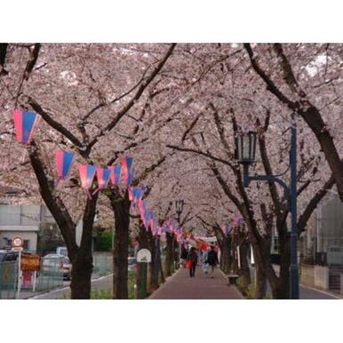 花と緑の散歩道