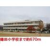 小学校