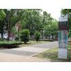 公園