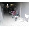 共有部分