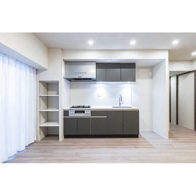 Dタイプ2025年11月撮影