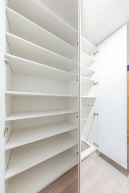 Dタイプ2025年11月撮影