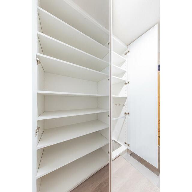 Dタイプ2025年11月撮影