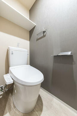 Dタイプ2025年11月撮影