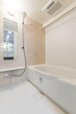 Dタイプ2025年11月撮影