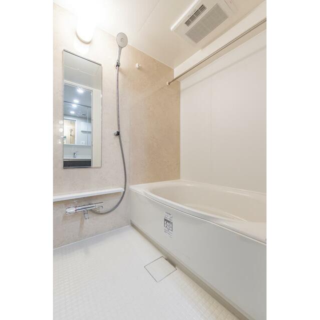 Dタイプ2025年11月撮影