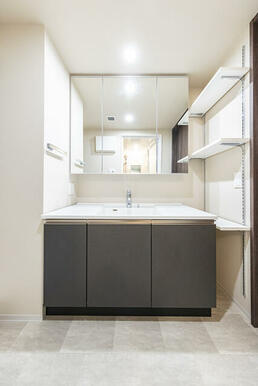 Dタイプ2025年11月撮影