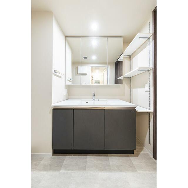 Dタイプ2025年11月撮影