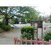 公園