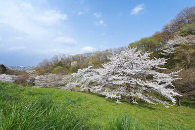 長沼公園