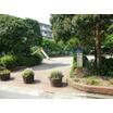 公園